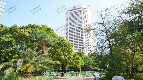 廣州海珠廣場園林綠化工程