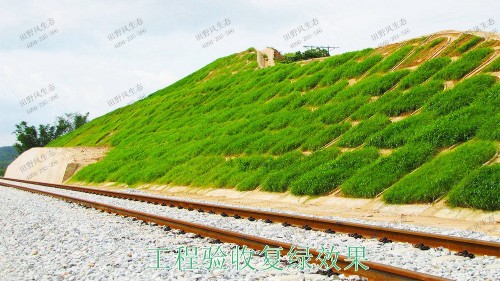 南廣鐵路廣東段鐵路邊坡掛網噴草工程