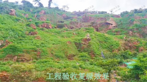 廣東省高州市山體滑坡邊坡復綠