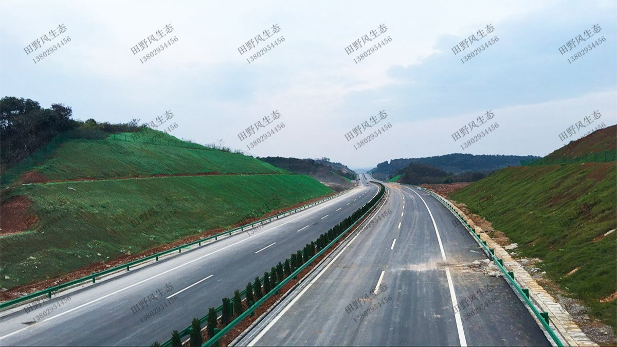 揭惠高速揭陽段高速公路邊坡復綠工程