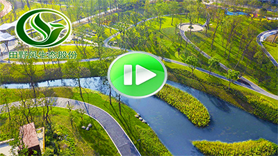 市政園林綠化視頻