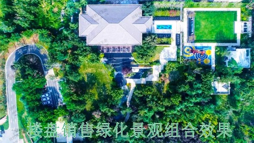 南昌龍湖地產園林景觀工程