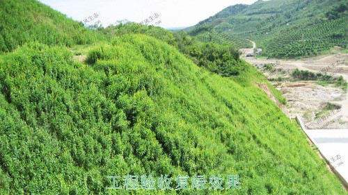 廣州白水山森林公園生態修復